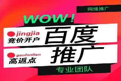 成功SEM托管代运营案例分析